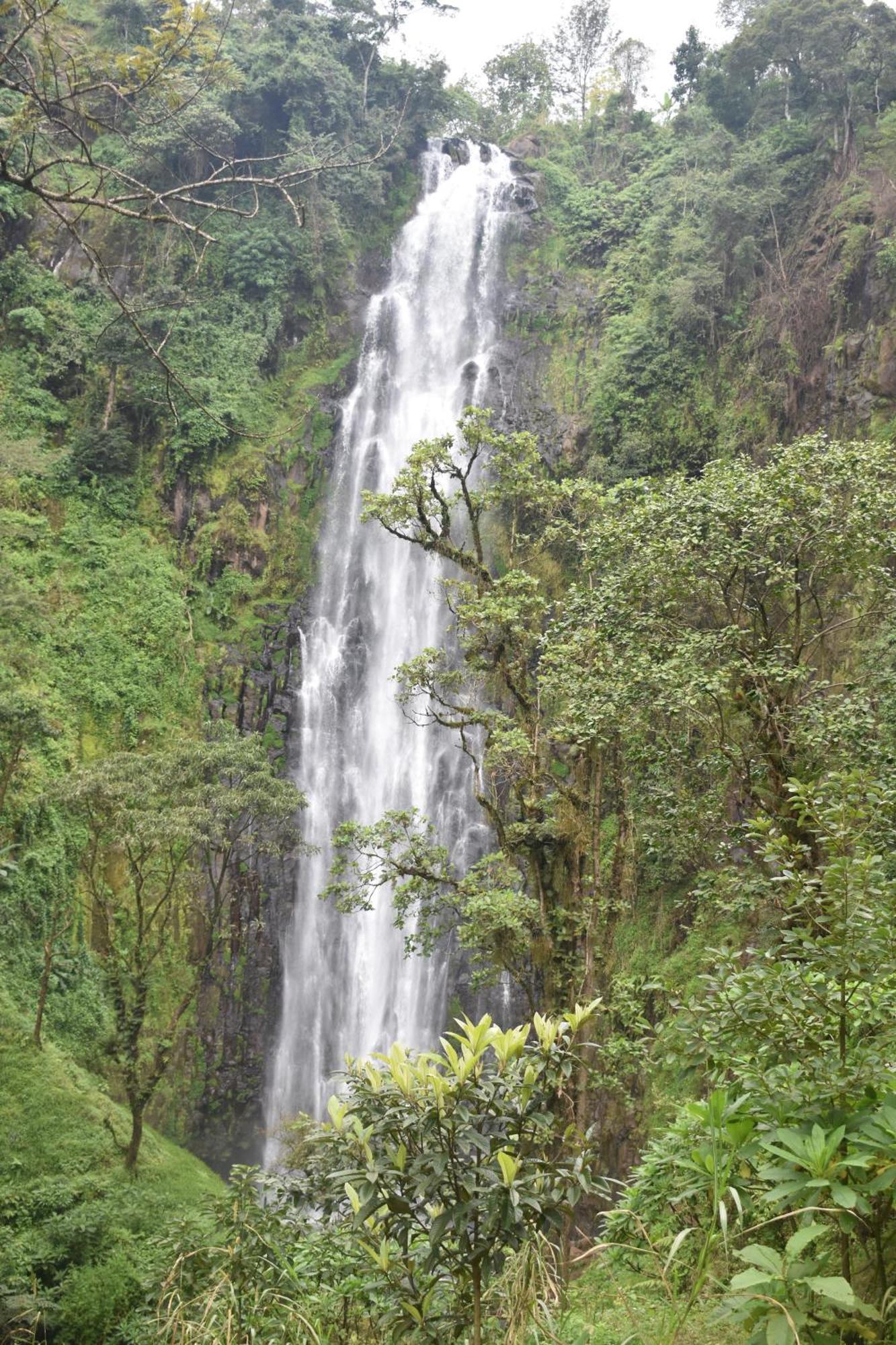 Kilimanjaro Accommodation Msaranga 외부 사진